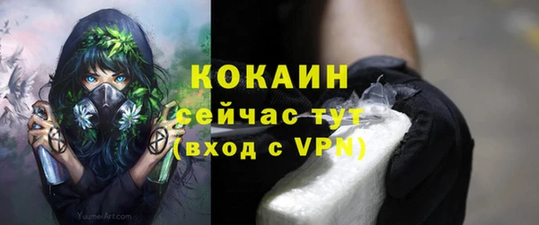 индика Абаза