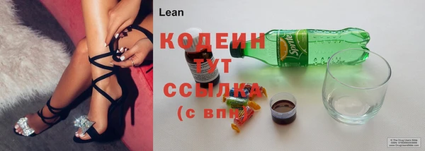 индика Абаза