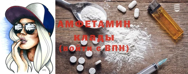 индика Абаза