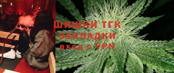 индика Абаза