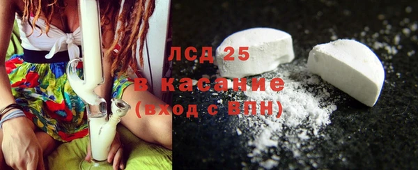 индика Абаза