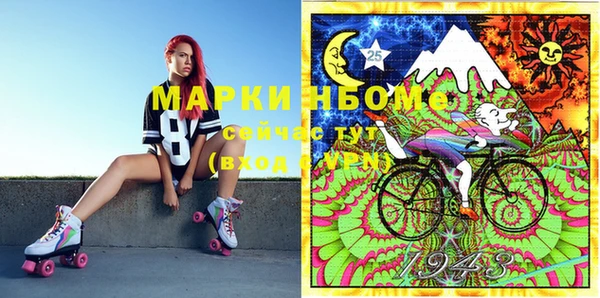 индика Абаза