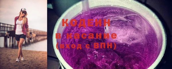 индика Абаза