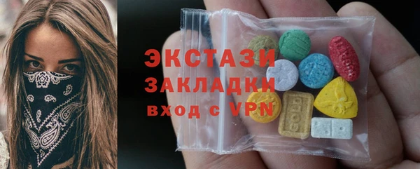 индика Абаза