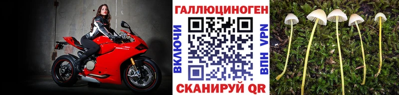 даркнет формула  Чита  Галлюциногенные грибы Psilocybine cubensis 